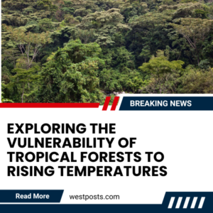 Exploring the Vulnerability of Tropical Forests to Rising Temperatures