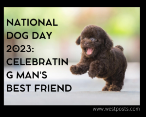 National Dog Day 2023: Celebrating Man’s Best Friend