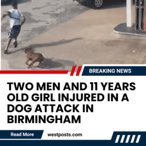Two Men and 11 Years Old Girl Injured in A Dog Attack in Birmingham